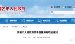 电白新闻头条爆料,独家爆料，揭秘重大事件背后真相